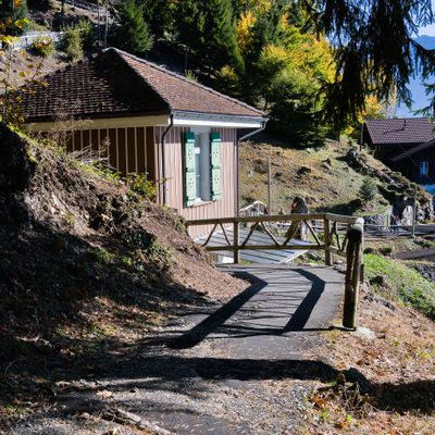 Alpine Bunk Lodge