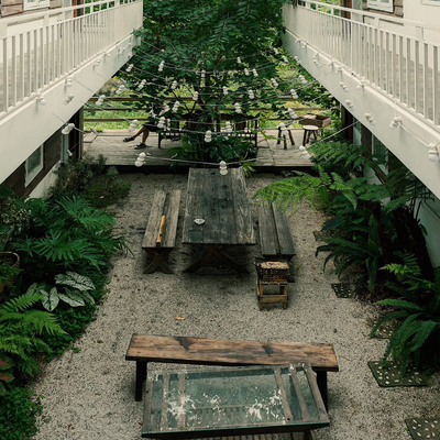 Jungle Nest