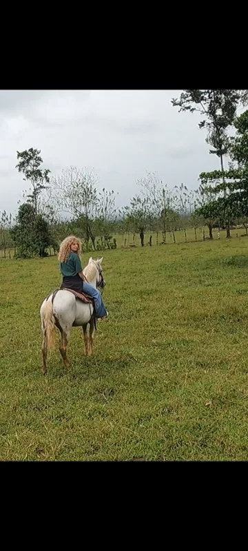 Sophia  travelling