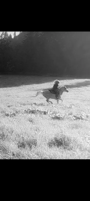 Sophia  travelling