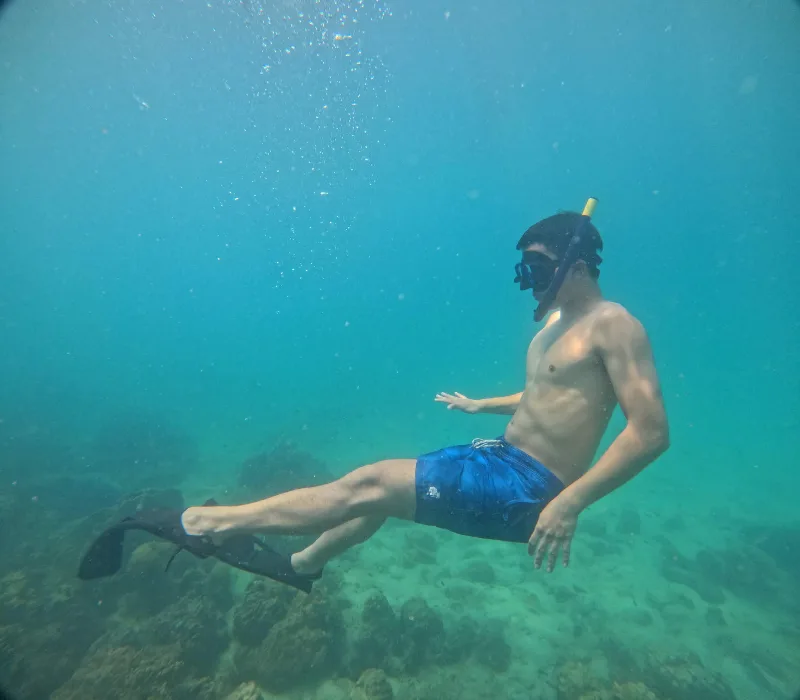 Marcus Louie travelling
