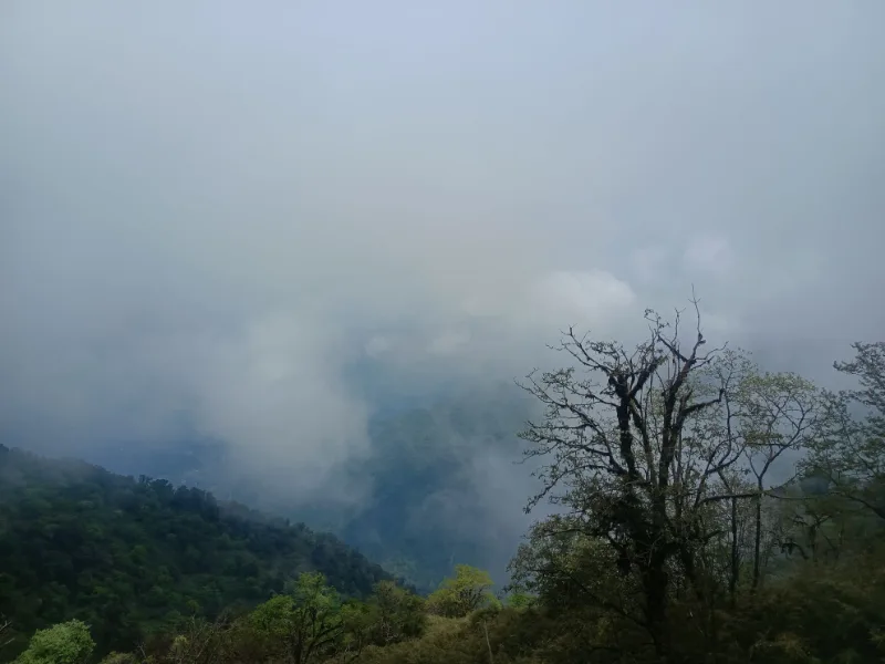 Dipanshu priyanshu travelling