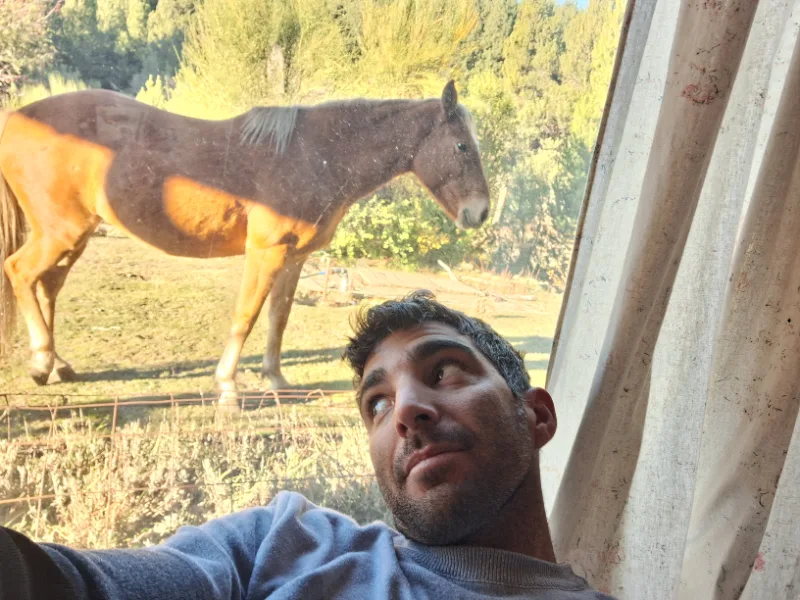 Federico Bicciconti  travelling