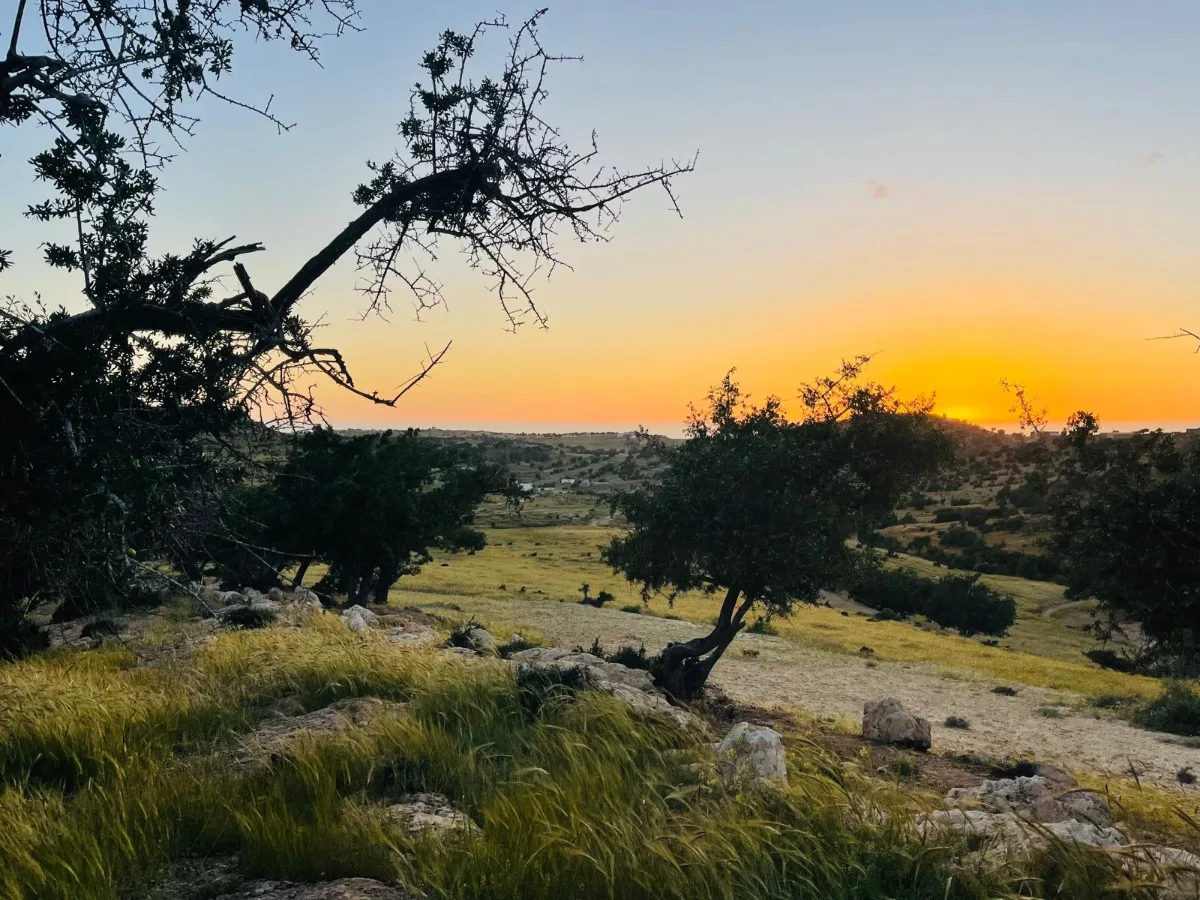 Hidden Sunset Spot above Taghazout