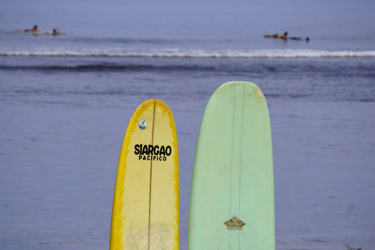 Surf guide & board rentals