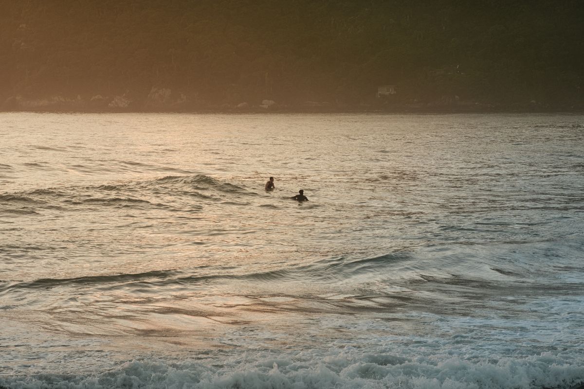 Surf & smoothie bar