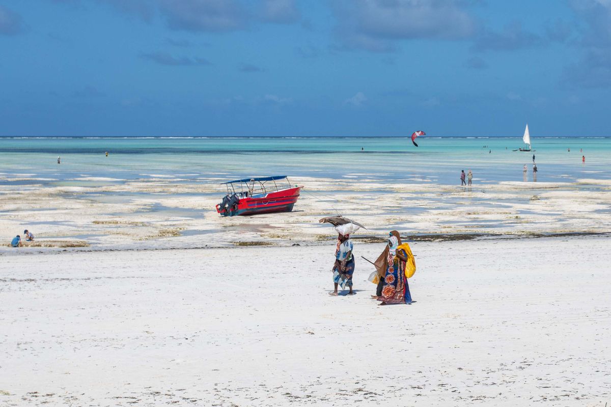Kitesurf & beach bar