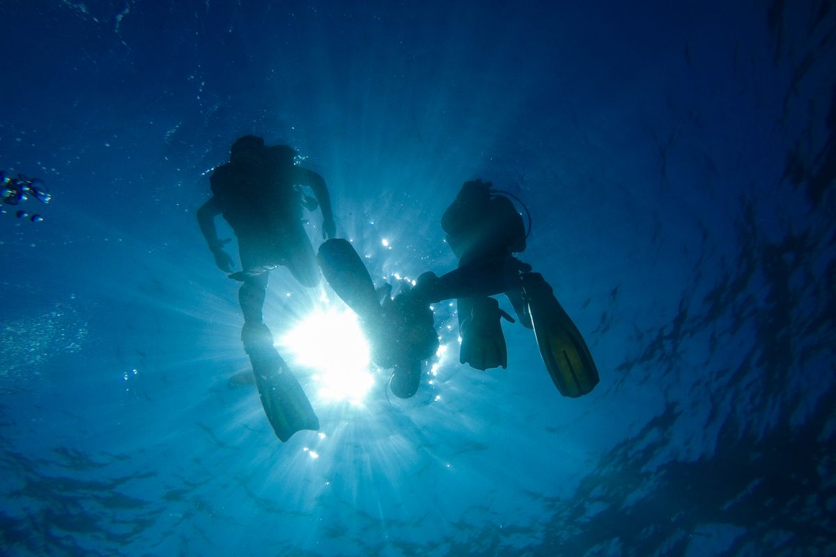 Dive shop assistant