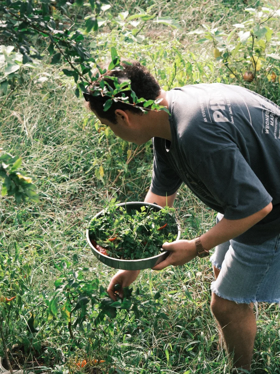 Garden & permaculture helper
